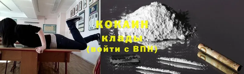 Кокаин Fish Scale  Кедровый 