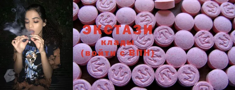 Ecstasy бентли  Кедровый 